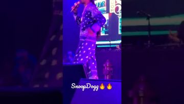 Snoop Dogg in the concert 🔥🔥#snoopdogg #live #rapper #snoopy